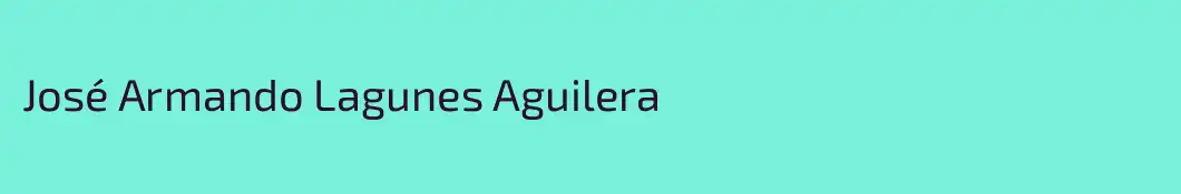 José Armando Lagunes Aguilera